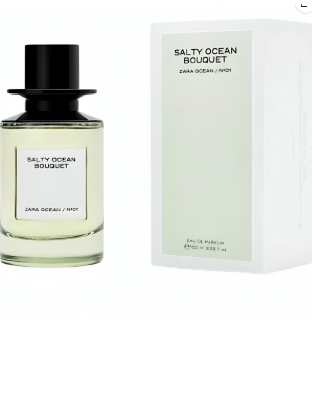 Zara NWT Salty Ocean Bouquet 100ML